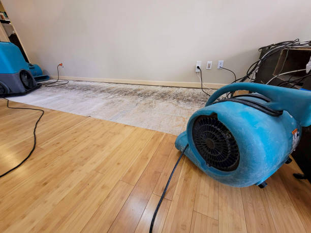 Professional Sewage Cleanup technician working in Paris, OH